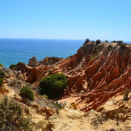 Penthouse Casa Torre *